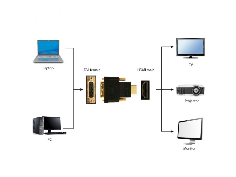 Cablexpert Αdapter DVI (24+1) σε HDMI Αντάπτορας Επιχρυσωμένος